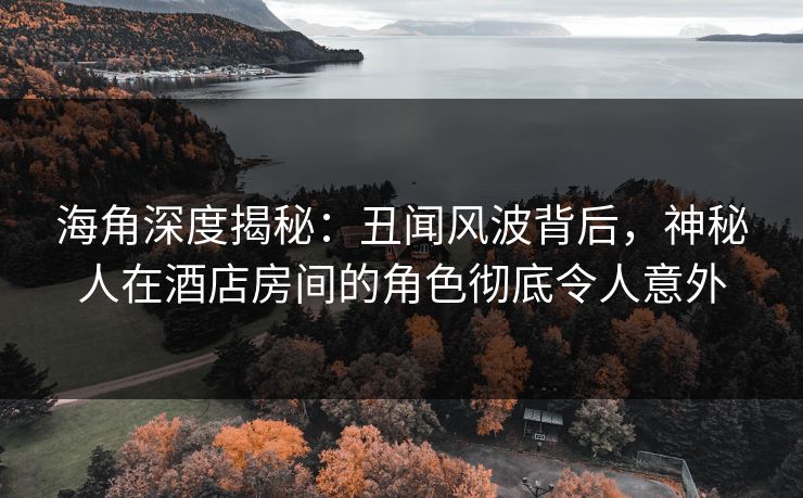 海角深度揭秘：丑闻风波背后，神秘人在酒店房间的角色彻底令人意外