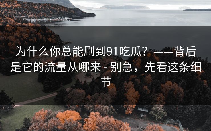 为什么你总能刷到91吃瓜？——背后是它的流量从哪来 - 别急，先看这条细节