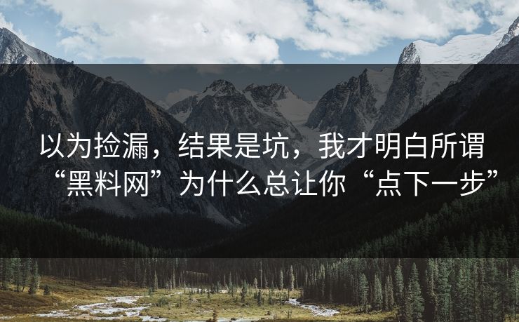 以为捡漏，结果是坑，我才明白所谓“黑料网”为什么总让你“点下一步”